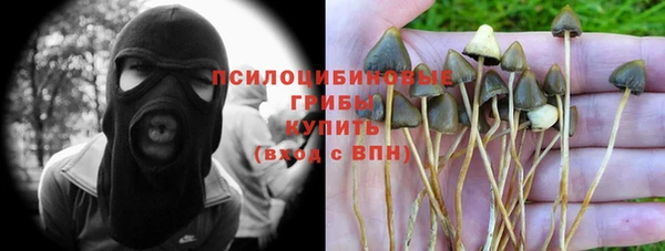героин Алексин