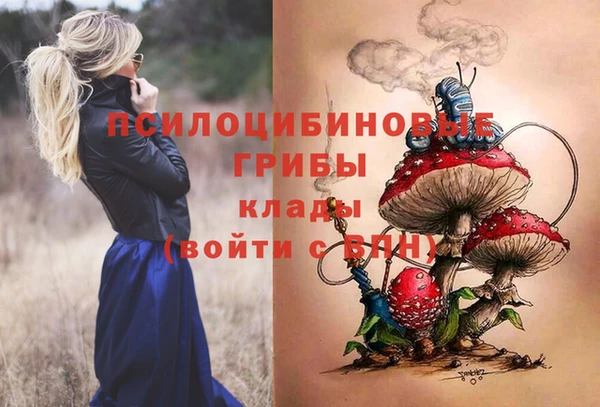 кокс Алзамай