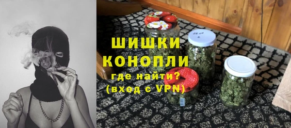гидра Алексеевка